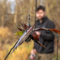 Avid Carp Substrate Marker Leads